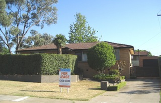 Main (2009-02-05)