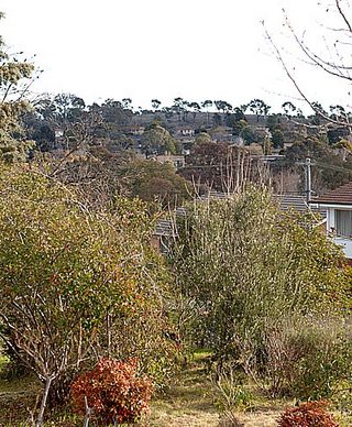 Garden (2005-08-26)