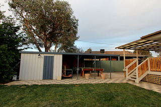 Garden (2013-11-21)