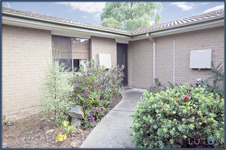 Main Photo (2011-01-13)