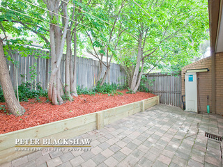 Rear yard (2011-11-02)