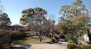 Front yard (2004-08-26)