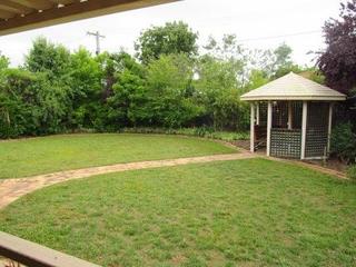 Backyard (2013-11-29)