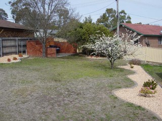 Backyard (2005-09-07)