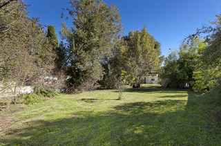 Backyard (2014-04-16)