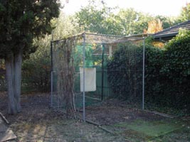 Golf Net (2006-04-26)