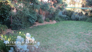 Rear garden (2012-05-16)
