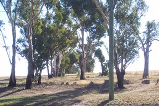 View (2005-04-14)