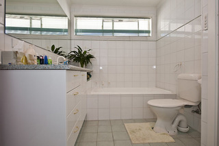 Bathroom (2009-11-12)