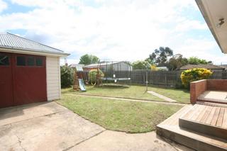 Backyard (2011-09-08)