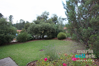 Garden (2011-07-20)