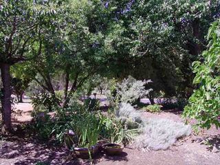 Front Garden (2006-02-14)