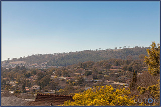 View (2014-09-16)