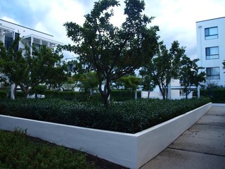 Complex central gardens (2017-11-01)