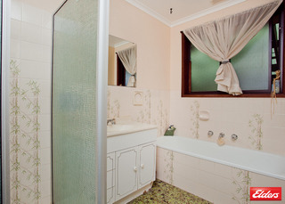 Bathroom (2011-03-03)