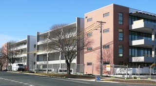 View from Cnr Liechhardt & Eyre Street (2011-07-12)