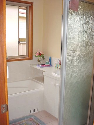 Bathroom (2007-01-05)