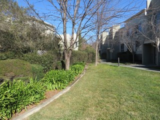 Common gardens (2017-06-30)