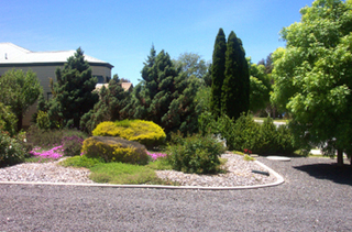 Front yard (2004-11-18)