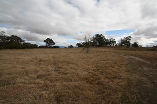 Standard Photo (2011-09-12)