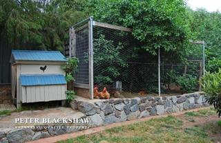 Chook House (2009-11-27)