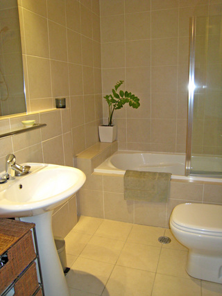 Bathroom (2007-05-24)
