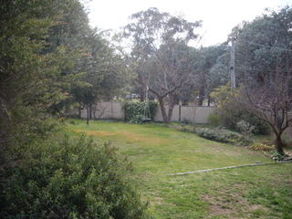 Rear yard (2010-08-23)