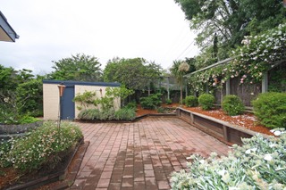 Patio (2010-11-17)