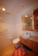 Bathroom (2009-07-02)