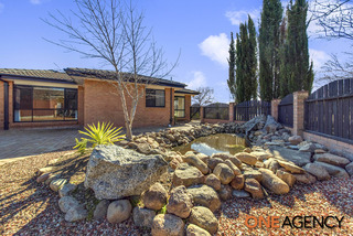 Frontyard/pond (2015-08-12)