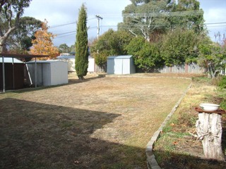 Backyard (2006-04-29)