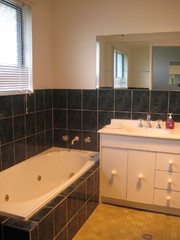 Bathroom (2011-10-17)