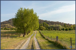 Driveway to Property (2012-11-01)