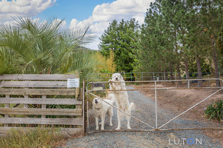 Welcoming Driveway Entry (2018-11-07)