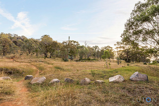 Reserve Opposite (2015-03-17)