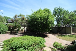 Backyard (2018-05-08)