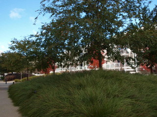 Communal Gardens (2014-07-17)