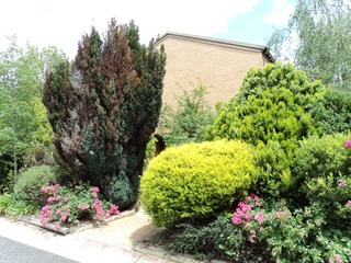 Main Photo (2012-07-18)
