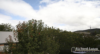 View (2008-04-09)