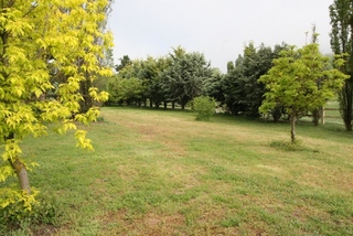 Paddock (2010-10-13)