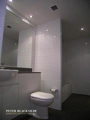 Bathroom (2011-01-05)