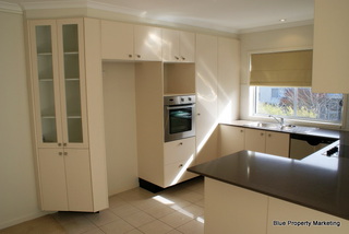 Kitchen (2010-06-02)