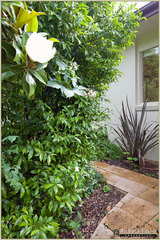Garden 1 (2010-12-09)