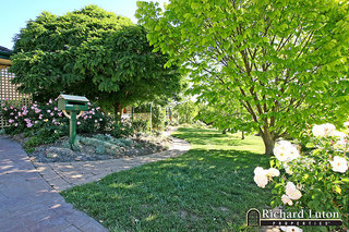 Garden (2007-05-31)