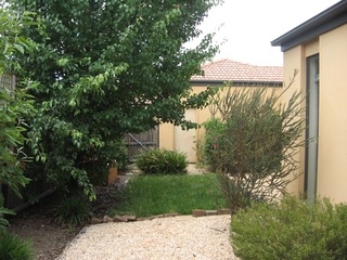 Backyard (2013-07-16)