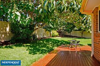 Rear garden (2012-03-07)