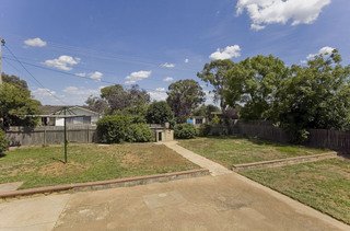 Backyard (2010-01-11)