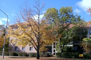 Street View 3 (2007-04-27)