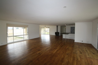 Standard Photo (2011-09-12)