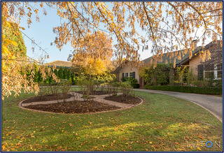 Front Garden (2014-05-13)